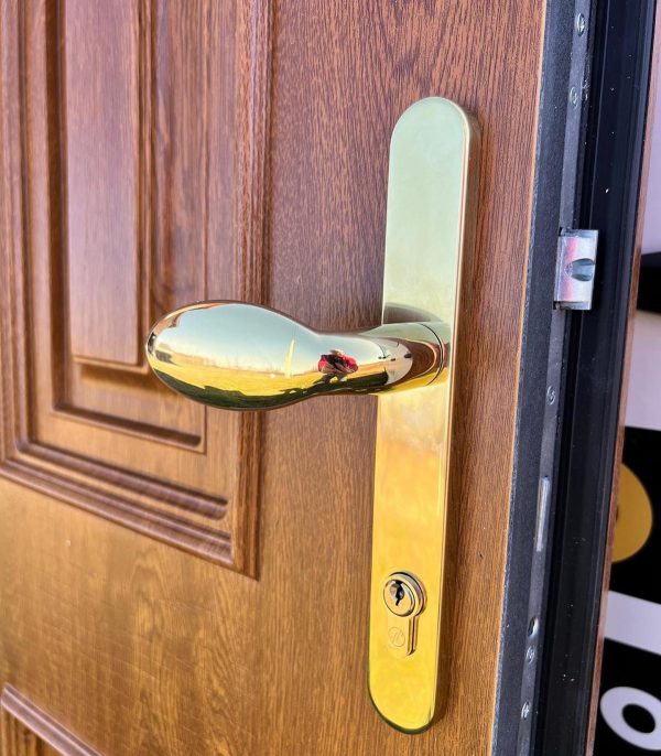 Gold Lever Pad Handle