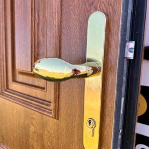Gold Lever Pad Handle
