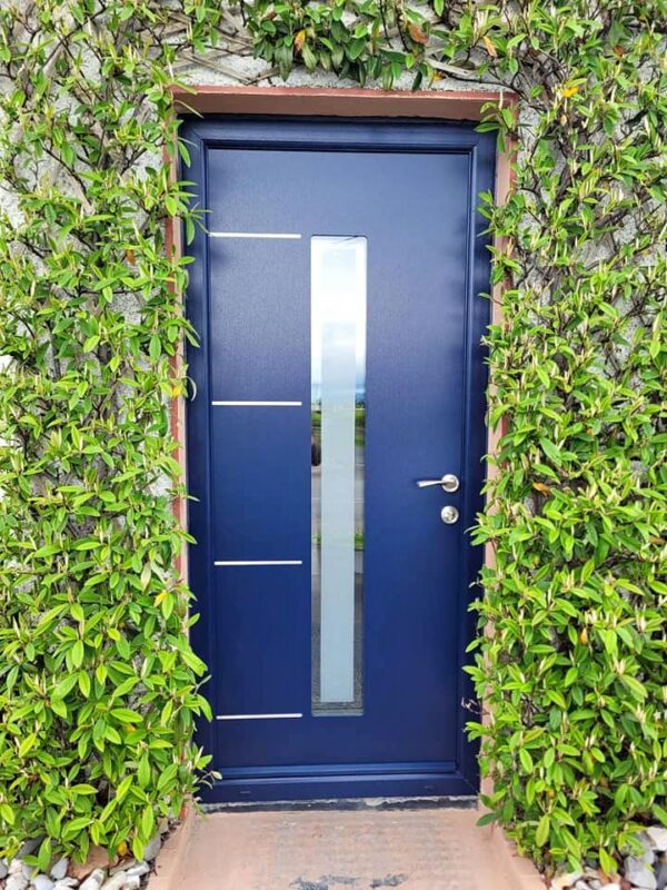 Blue Matisse Door