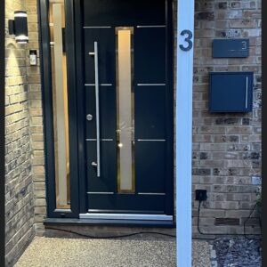 Bog Oak Gauguin Door